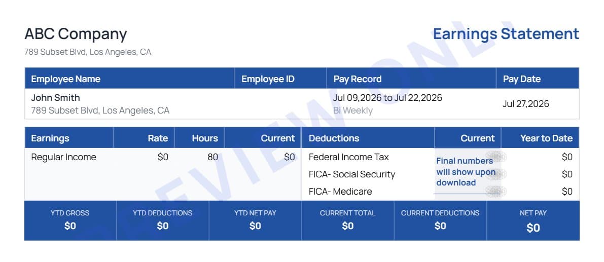 Paystub preview placeholder
